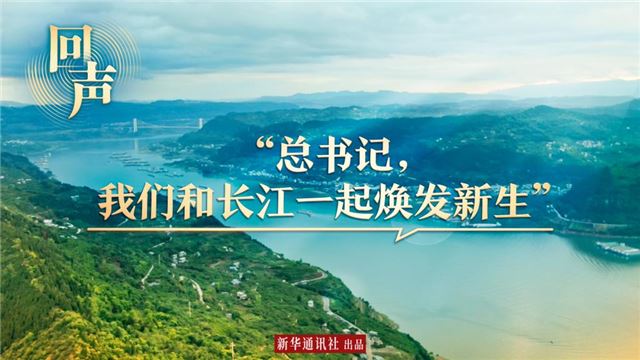 回声｜“总书记，我