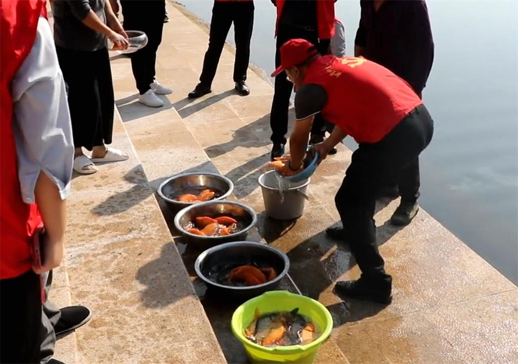 江西德兴新营街道：开展增殖放流 促进生态平衡
