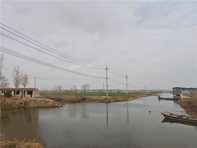 港西村：以水为笔绘生态画卷，以民为本筑幸福家园
