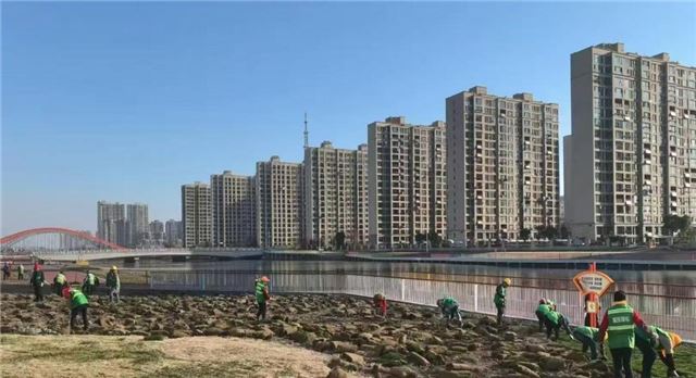 兴化城投绿化公司科学提升城区直港河 西路滨河绿化景观