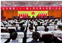  兴化市安丰镇：召开第二十一届人民代表大会第八次会议