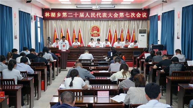 林湖乡第二十届人民代表大会第七次会议胜利召开