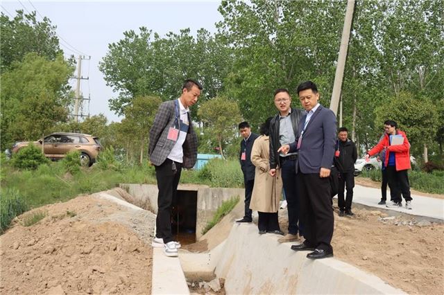射阳县千秋镇人大代表专项视察高标准农田建设项目
