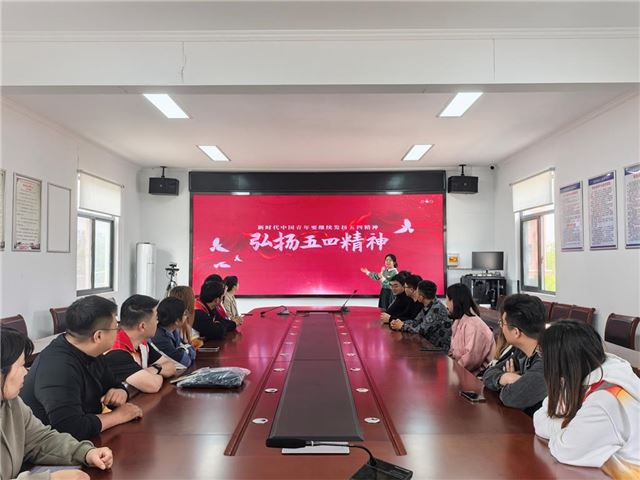 兴化市沈伦镇开展“赓续五四薪火 青春挺膺担当”主题活动   