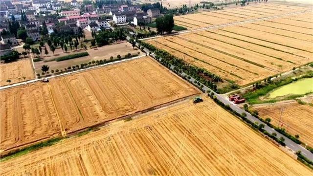  泰兴：全力备战“三夏” 确保颗粒归仓