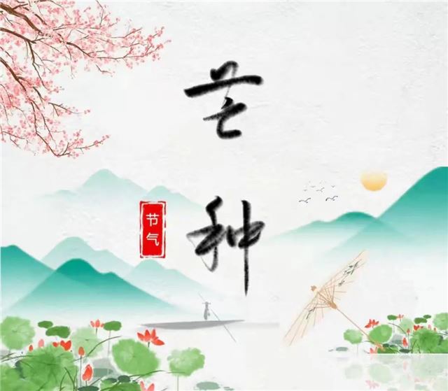 【食育·时乔】风吹麦成浪，稚嬉韵染芒——上饶市时乔幼儿园二十四节气系列活动之芒种