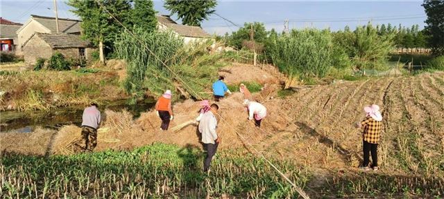 兴化市新垛镇施家桥村：双禁筑牢防火墙 守护水乡好风光