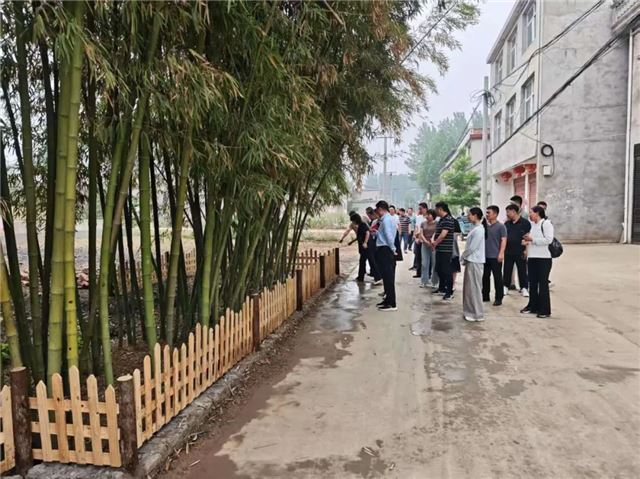 安徽涡阳县新兴镇：乡村振兴环境先行