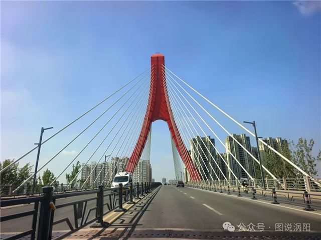 安徽头伏首日探城记：车轮上的涡阳夏日图鉴