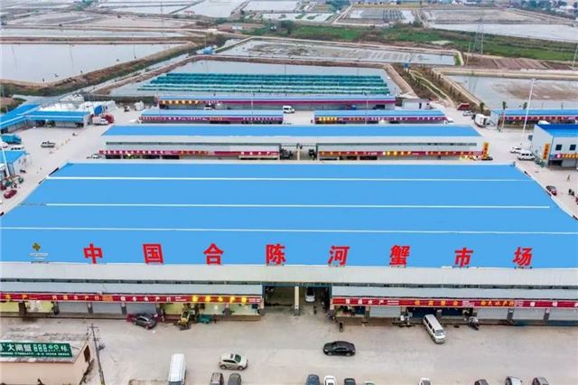  兴化合陈镇：党建引领河蟹市场盘活，助推“合”蟹产业提质升级  