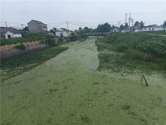 清波归乡：朱彭三庄村的夏日治湖记