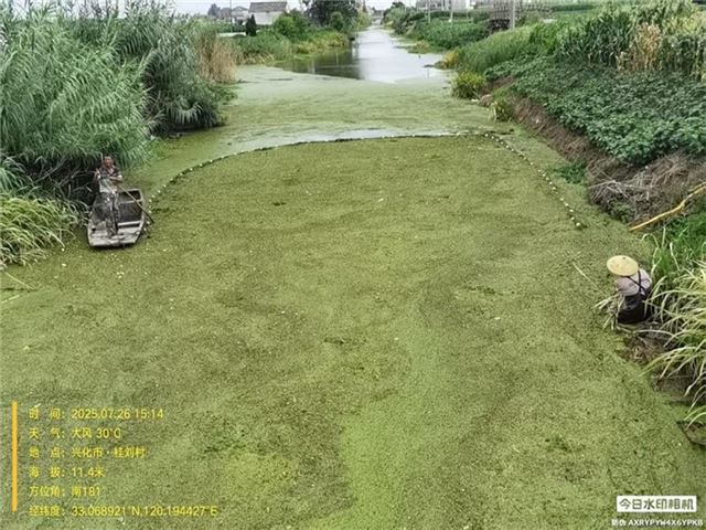 16054698874502316_33.jpg