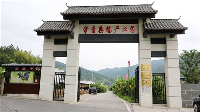 湖北蕲春县飞跃村：文明创建绘就村美民富人和新画卷