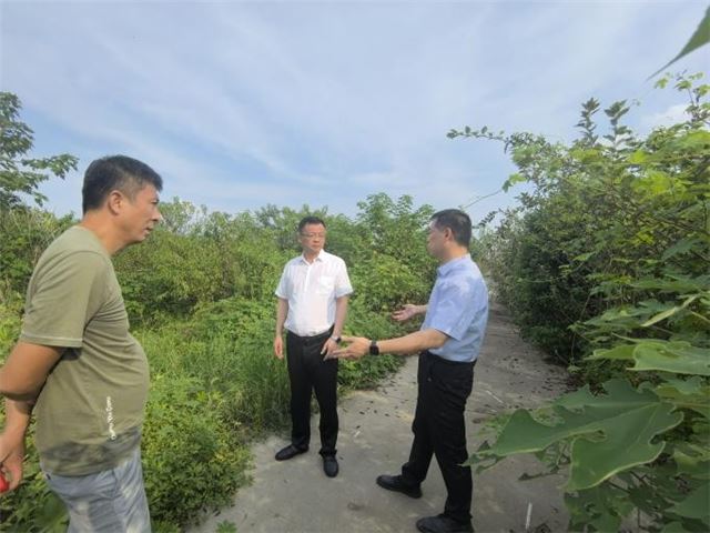 跨镇合作促发展 观摩学习谋新篇  ——兴化市合陈镇赴钓鱼镇开展农业产业交流观摩活动