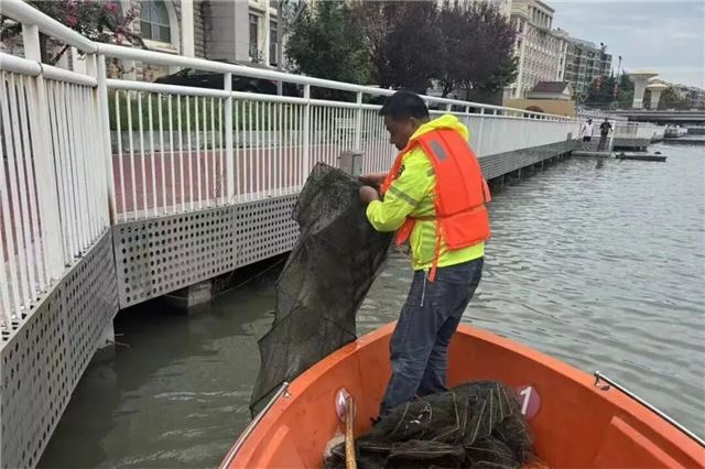  清除河道地笼，共护碧水清流——兴化市城管局联合开展地笼网专项清理行动