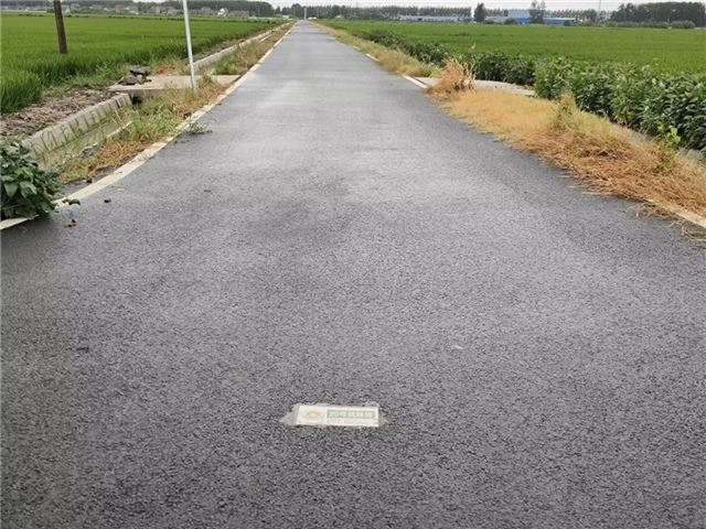沃野织锦绣 田园展新姿  ——李施村高标准农田建设谱写乡村振兴新篇章