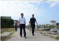 兴化大垛镇塘港新村：沿河新路织幸福 村民笑靥映晨光