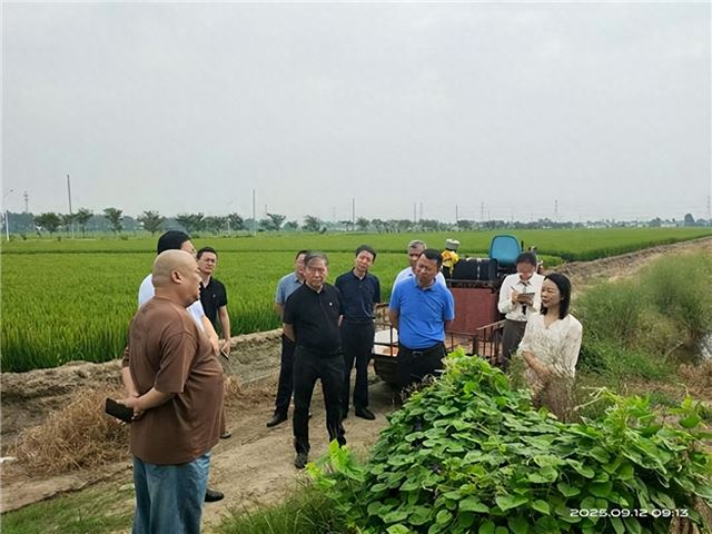 江苏省粮食和物资储备局来兴开展秋粮收购相关工作调研