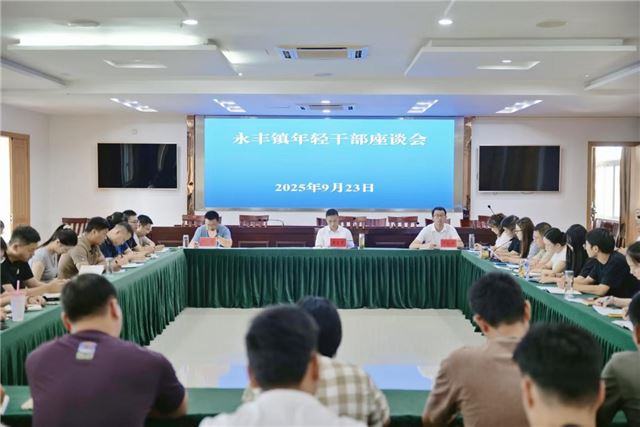 兴化市永丰镇召开年轻干部座谈会