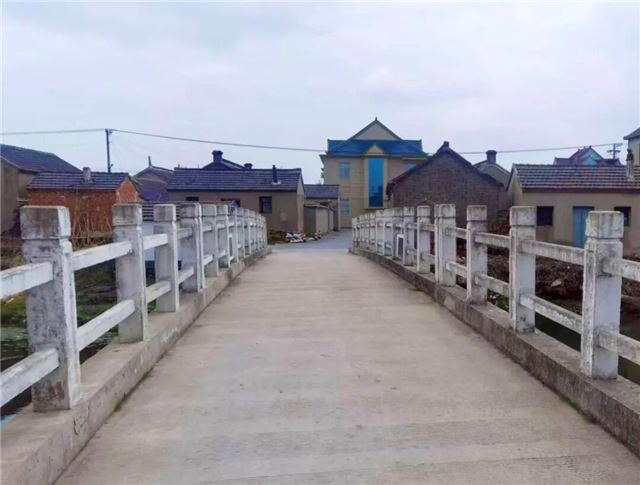 11434523984536782_33.jpg 11434523984536782_33.jpg