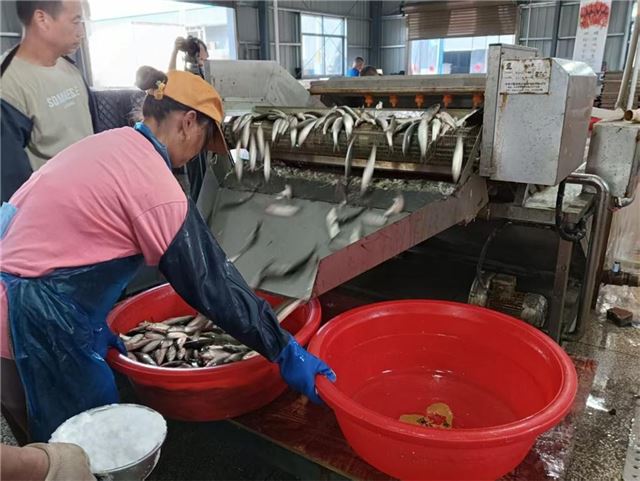 22105418112471909_33.jpg 22105418112471909_33.jpg