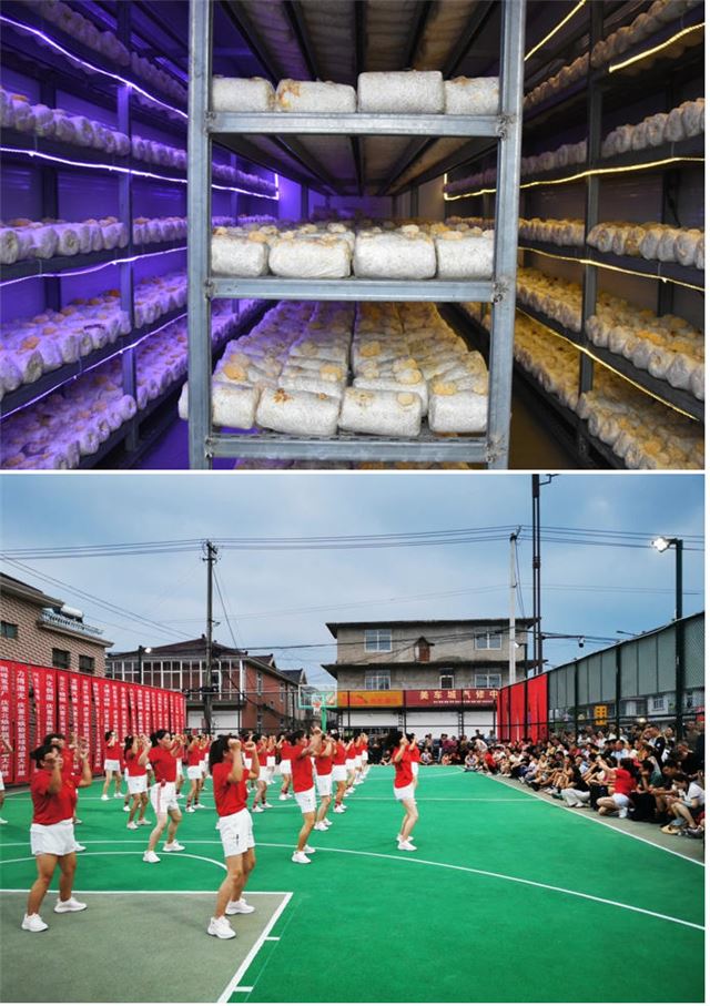 10420513974565738_33.jpg 10420513974565738_33.jpg