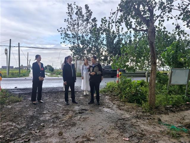 09254209897471891_33.jpg 09254209897471891_33.jpg