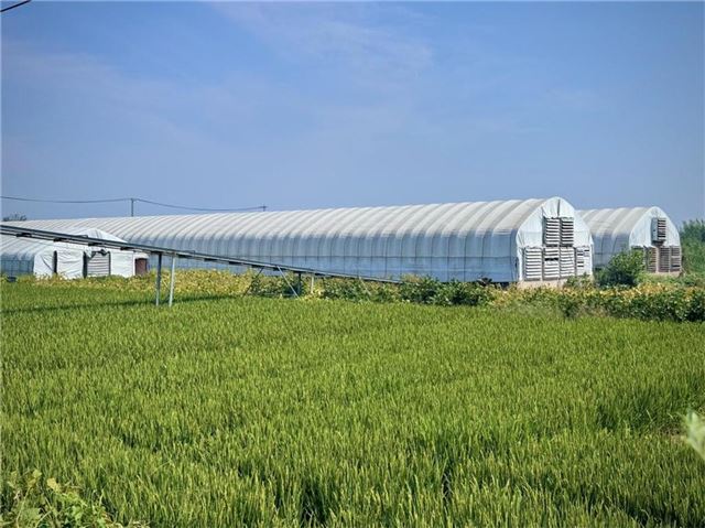 10443433796646266_33.jpg 10443433796646266_33.jpg