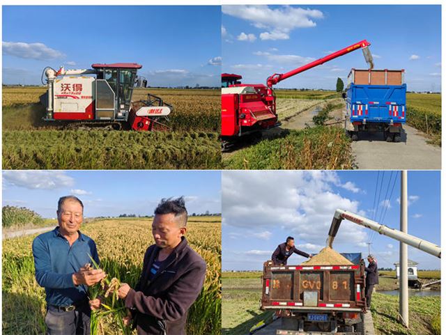 15464136357829193_33.jpg 15464136357829193_33.jpg