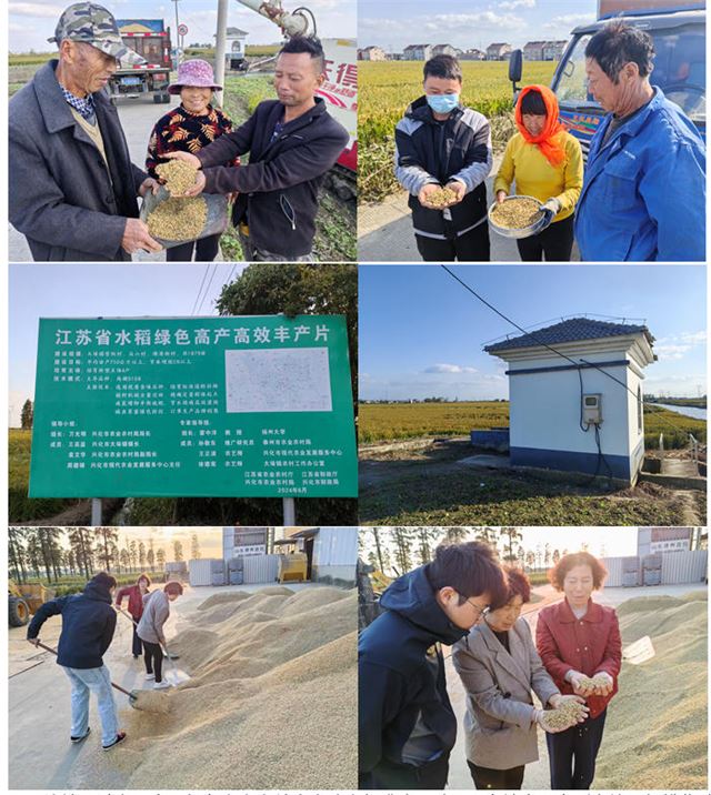 15465465131135172_33.jpg 15465465131135172_33.jpg