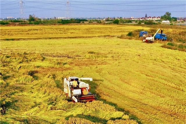 18200575356393230_33.jpg 18200575356393230_33.jpg