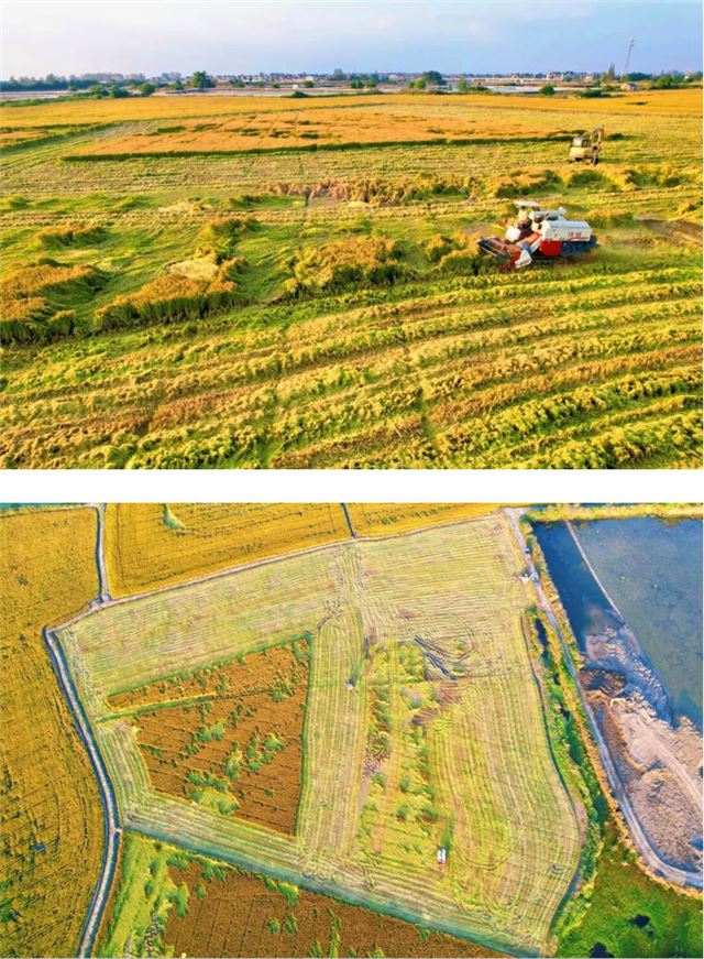 18201667805686046_33.jpg 18201667805686046_33.jpg