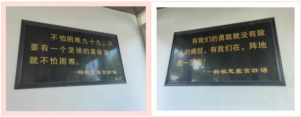 10570789219034893_33.jpg 10570789219034893_33.jpg