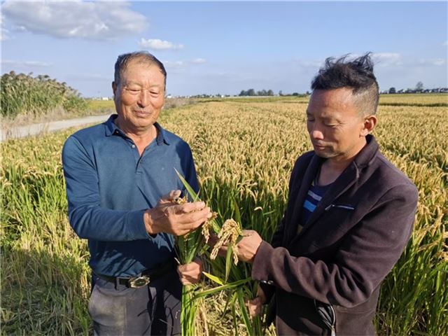 18050519656817533_33.jpg 18050519656817533_33.jpg