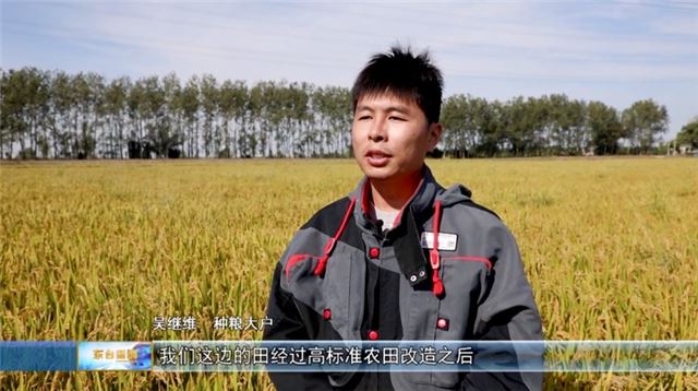 10120887782790294_33.jpg 10120887782790294_33.jpg