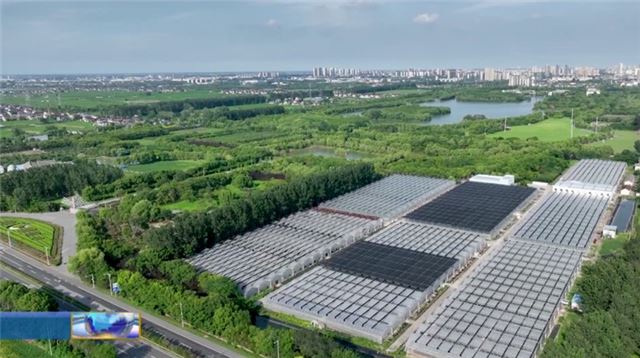 10154083644140730_33.jpg 10154083644140730_33.jpg