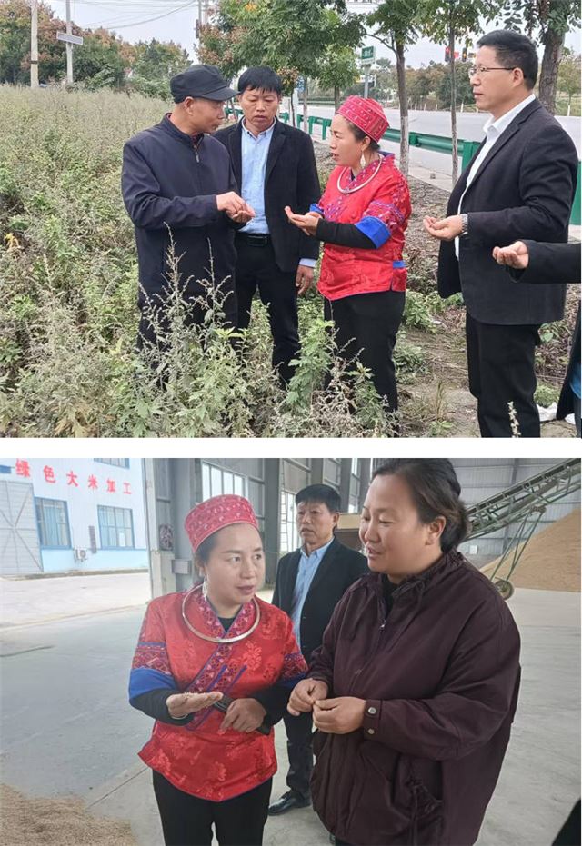 13131459786949085_33.jpg 13131459786949085_33.jpg