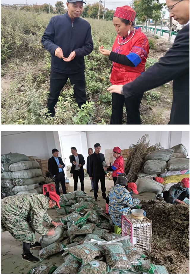 1313326255681741_33.jpg 1313326255681741_33.jpg