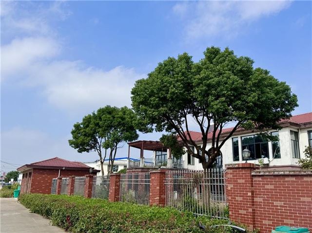 13435483032937909_33.jpg 13435483032937909_33.jpg