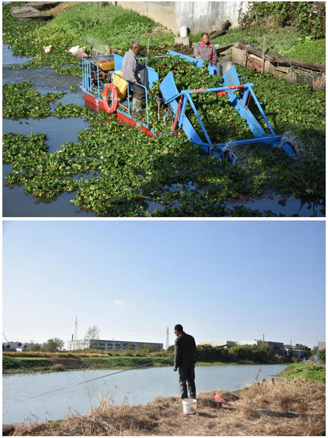 19134310786443185_33.jpg 19134310786443185_33.jpg