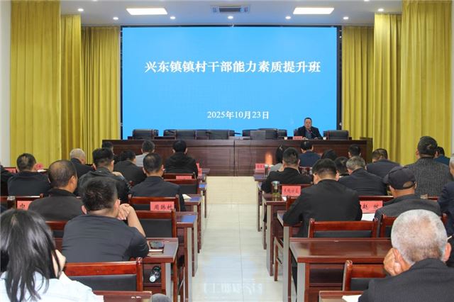 兴化兴东镇：举办镇村干部能力素质提升班