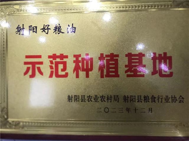 11411759165086442_33.jpg 11411759165086442_33.jpg