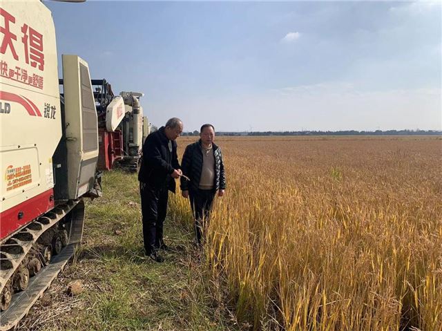 11461790037540691_33.jpg 11461790037540691_33.jpg