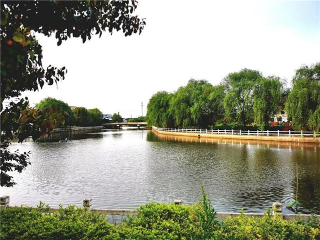 17374824147294095_33.jpg 17374824147294095_33.jpg