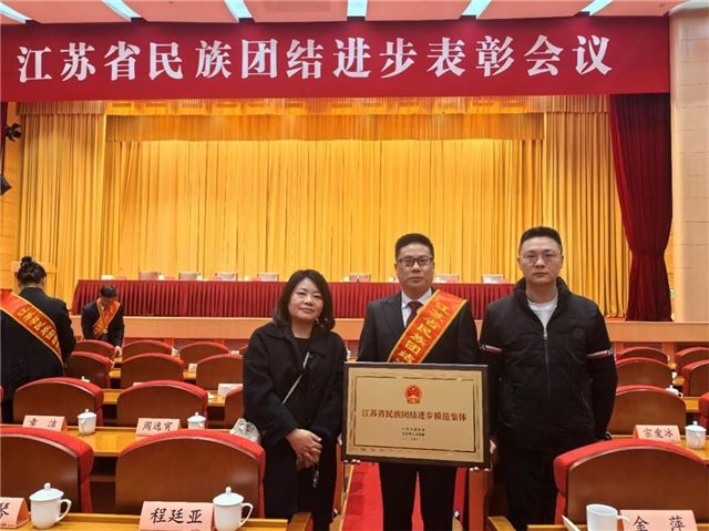 走进“江苏省民族团结进步模范集体”戴南镇