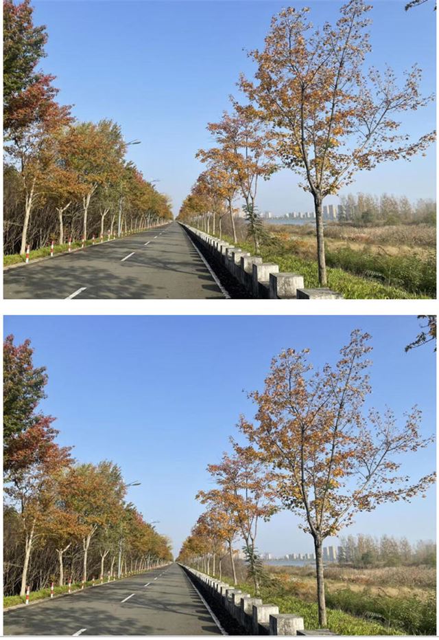 11281542721623173_33.jpg 11281542721623173_33.jpg