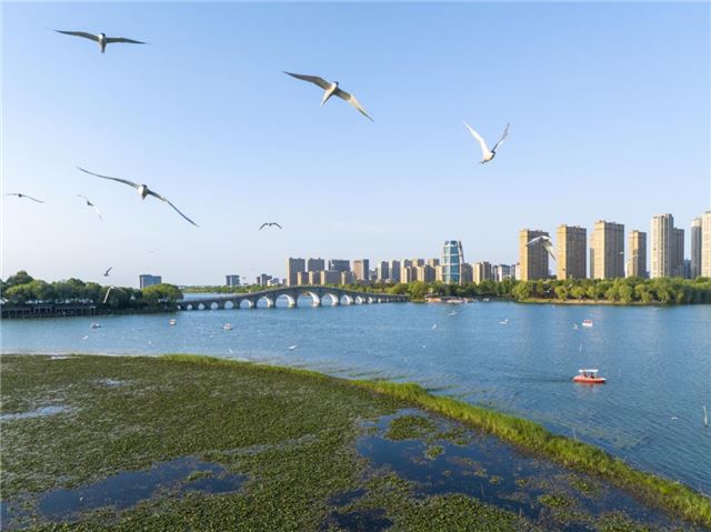 11283824535960499_33.jpg 11283824535960499_33.jpg