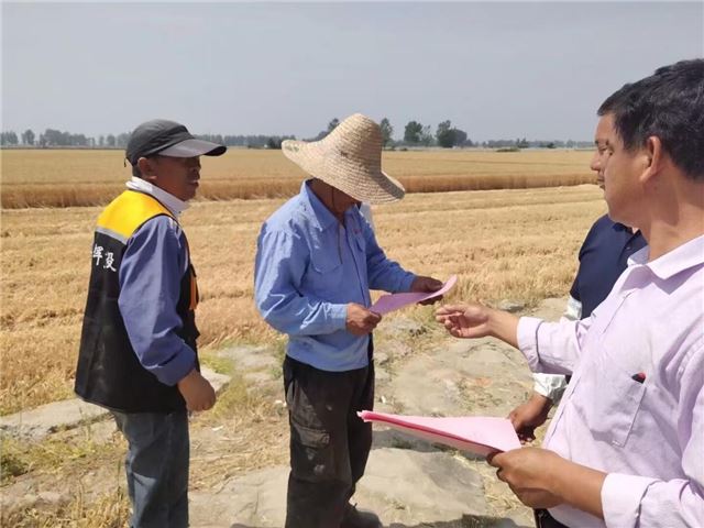 18201127494118565_33.jpg 18201127494118565_33.jpg