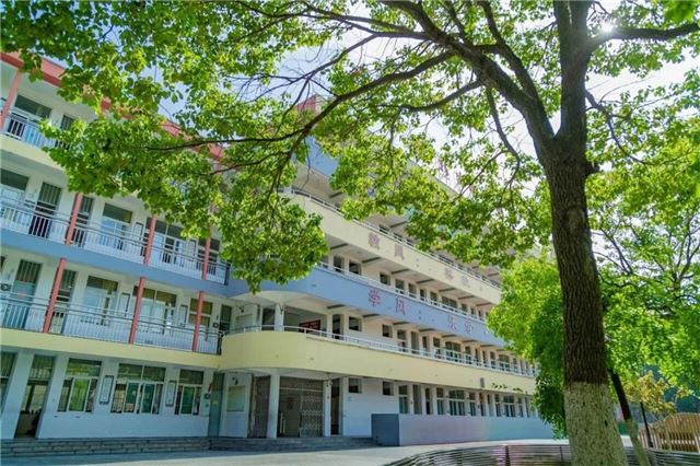 15250493249922224_33.jpg 15250493249922224_33.jpg