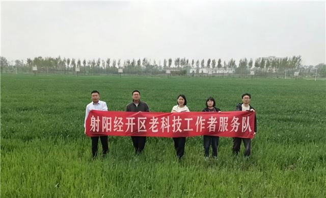  射阳老科协经开区分会开展小麦抽穗期农技指导服务